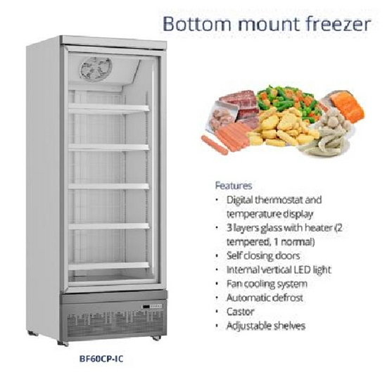 GEA BF60CP-IC Upright Glass Door Freezer / Bottom Mount Freezer