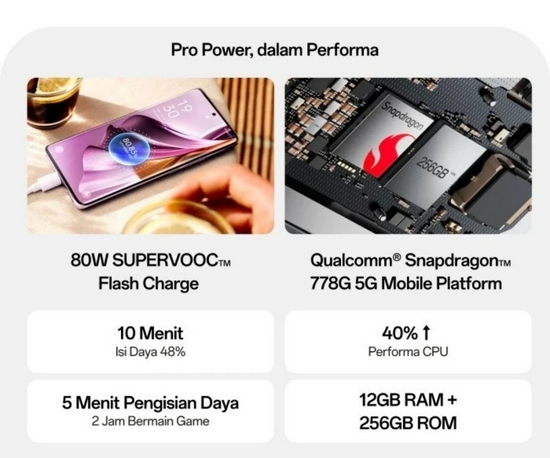 Oppo Reno 10 Pro 5G 8/256-2