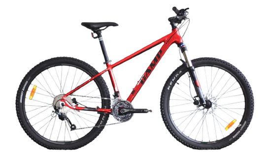 Camp Mountain Bike Fenix 2.0