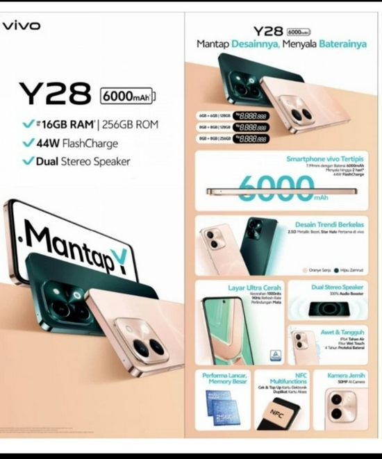 VIVO Y28 RAM16[8+8]/256GB